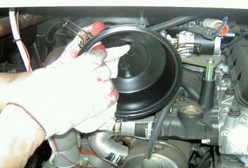 img1.jpg