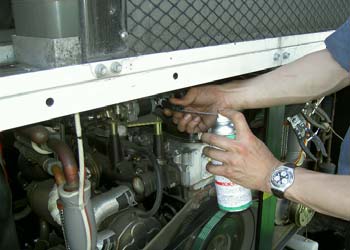 img1.jpg