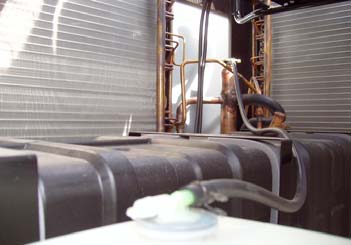img1.jpg