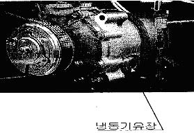img1.jpg